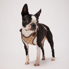 Small/medium padded pet harness - sand and brown GG canvas