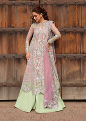 Crimson | Jhilmil Wedding Formals | TILSAM