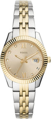 Scarlette Quartz Stainless Steel Three-Hand Watch for Women