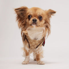 Extra-small padded pet harness - sand and brown GG canvas